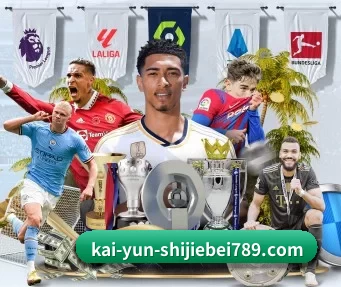 开云(Kaiyun)中国官方网站 APP