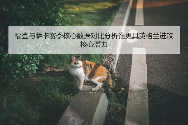 福登与萨卡赛季核心数据对比分析谁更具英格兰进攻核心潜力