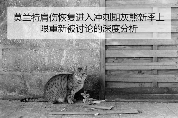 莫兰特肩伤恢复进入冲刺期灰熊新季上限重新被讨论的深度分析