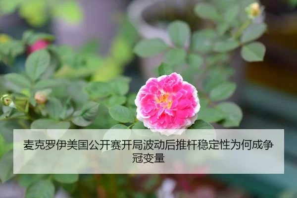 mai-ke-luo-yi-mei-guo-gong-kai-sai-kai-ju-bo-dong-hou-tui-gan-wen-ding-xing-wei-he-cheng-zheng-guan-bian-liang-1-882.jpg