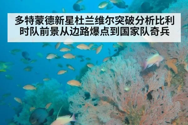 多特蒙德新星杜兰维尔突破分析比利时队前景从边路爆点到国家队奇兵